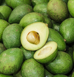 Avocado