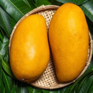 Mango (Mallika)